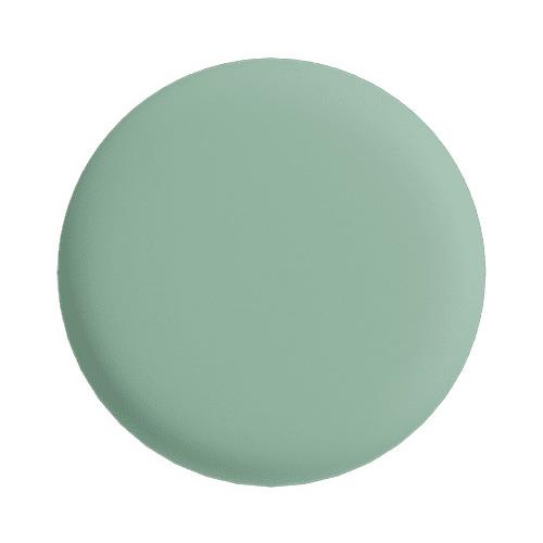 frank green Pet Safety Light Medium Mint Gelato